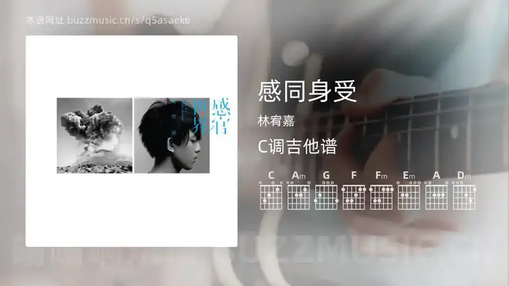 感同身受 林宥嘉 吉他谱C调简单版