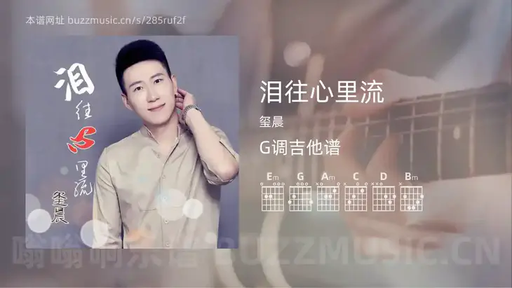 泪往心里流吉他谱G调 玺晨 简单版