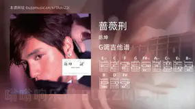 蔷薇刑 陈坤 吉他谱G调简单版