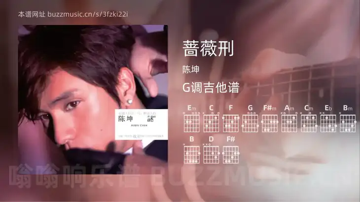 蔷薇刑 陈坤 吉他谱G调简单版