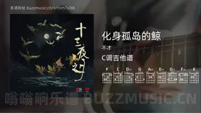 化身孤岛的鲸 不才 吉他谱C调简单版