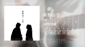 紫霞仙子 王荻 吉他谱C调简单版