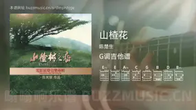 山楂花 陈楚生 吉他谱G调简单版