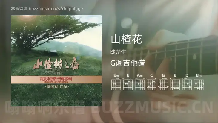 山楂花 陈楚生 吉他谱G调简单版