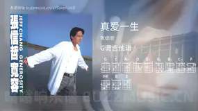 真爱一生 张信哲 吉他谱G调简单版