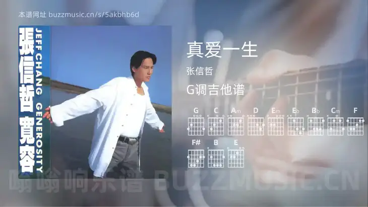 真爱一生 张信哲 吉他谱G调简单版