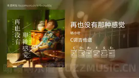 再也没有那种感觉 杨小壮 吉他谱C调简单版