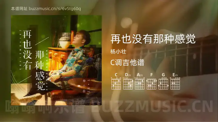 再也没有那种感觉 杨小壮 吉他谱C调简单版