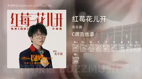 红莓花儿开 毛不易 吉他谱C调简单版