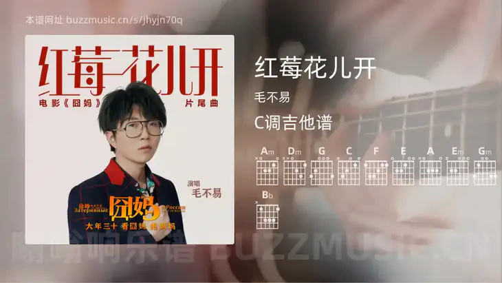 红莓花儿开 毛不易 吉他谱C调简单版