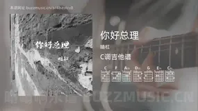 你好总理吉他谱C调 暗杠 简单版