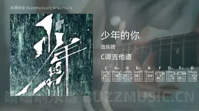 少年的你 造乐团 吉他谱C调简单版