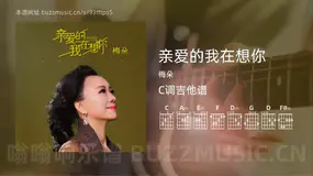 亲爱的我在想你吉他谱C调 梅朵 简单版