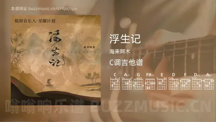 浮生记 海来阿木 吉他谱C调简单版