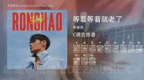 等着等着就老了 李荣浩 吉他谱C调简单版