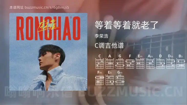 等着等着就老了 李荣浩 吉他谱C调简单版
