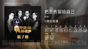 把悲伤留给自己 朴翔 吉他谱C调简单版