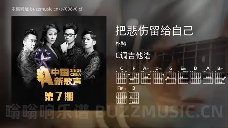 把悲伤留给自己 朴翔 吉他谱C调简单版