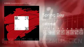 Spring Day BTS 吉他谱C调简单版