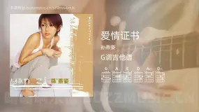 爱情证书 孙燕姿 吉他谱G调简单版