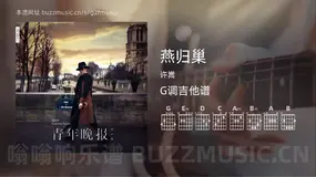 燕归巢 许嵩 吉他谱G调简单版