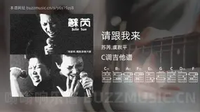 请跟我来 苏芮,虞戡平 吉他谱C调简单版