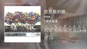 你是我的眼 林宥嘉 吉他谱C调简单版