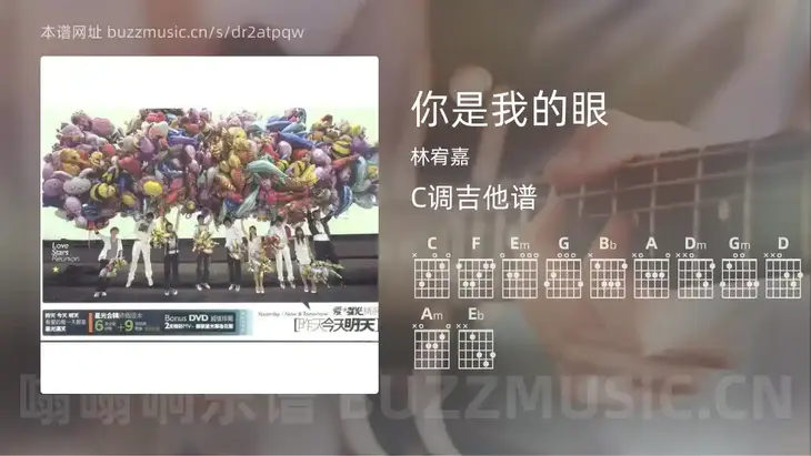 你是我的眼 林宥嘉 吉他谱C调简单版