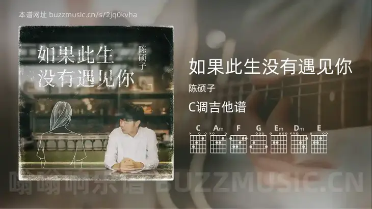 如果此生没有遇见你 陈硕子 吉他谱C调简单版