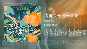 这里会长出一朵花 旅行团乐队 吉他谱C调简单版