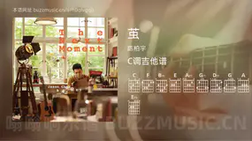 茧吉他谱C调 陈柏宇 简单版