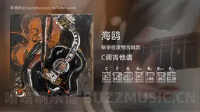 海鸥吉他谱C调 新学校废物合唱团 简单版