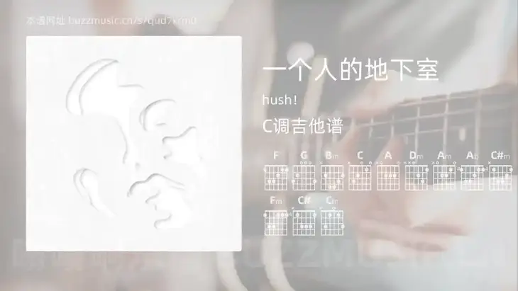 一个人的地下室 hush! 吉他谱C调简单版