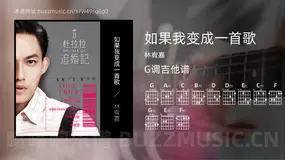 如果我变成一首歌 林宥嘉 吉他谱G调简单版