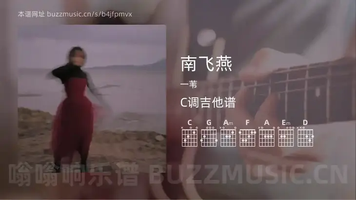 南飞燕 一苇 吉他谱C调简单版