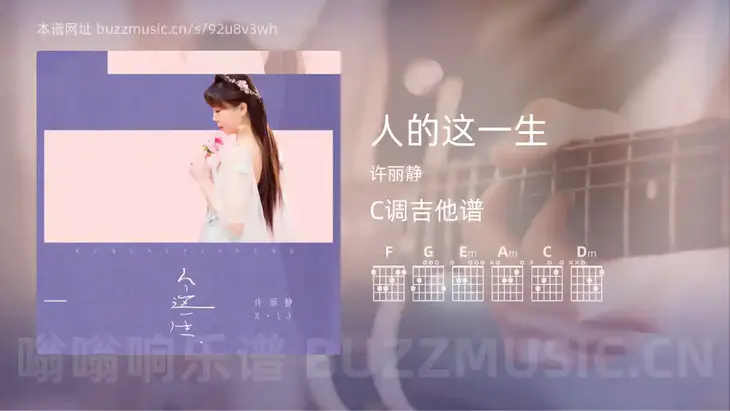 人的这一生 许丽静 吉他谱C调简单版