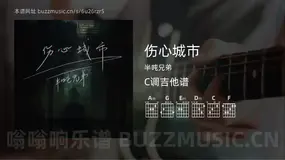 伤心城市 半吨兄弟 吉他谱C调简单版
