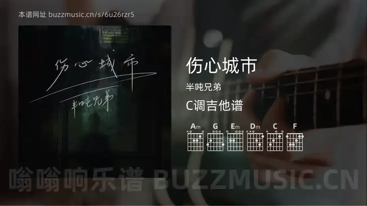 伤心城市 半吨兄弟 吉他谱C调简单版