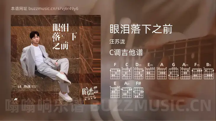 眼泪落下之前 汪苏泷 吉他谱C调简单版