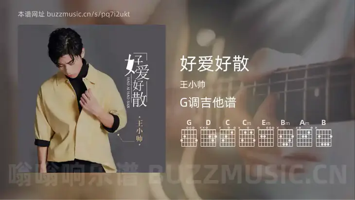 好爱好散 王小帅 吉他谱G调简单版