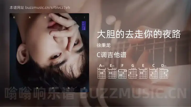 大胆的去走你的夜路吉他谱C调 徐秉龙 简单版