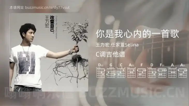 你是我心内的一首歌 王力宏,任家萱Selina 吉他谱C调简单版