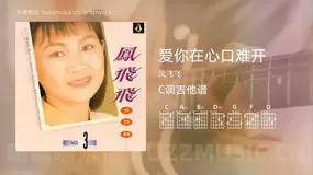 爱你在心口难开 凤飞飞 吉他谱C调简单版