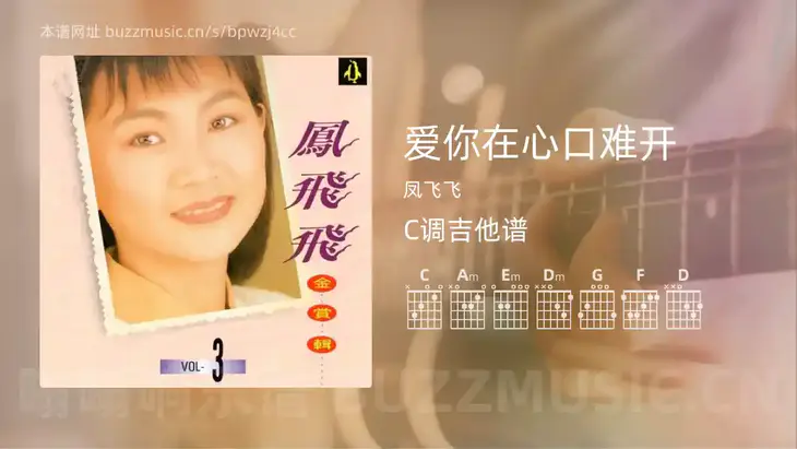 爱你在心口难开 凤飞飞 吉他谱C调简单版
