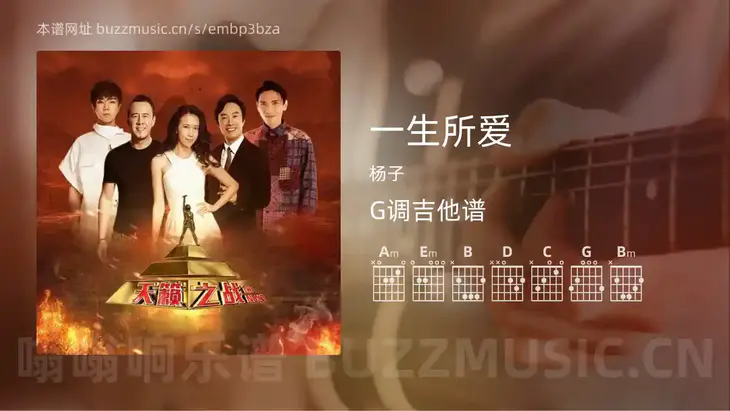 一生所爱 杨子 吉他谱G调简单版