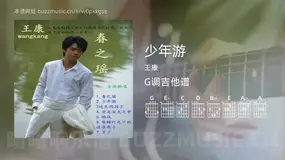 少年游 王康 吉他谱G调简单版