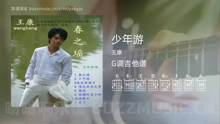 少年游 王康 吉他谱G调简单版