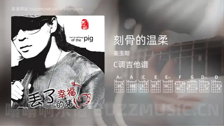 刻骨的温柔吉他谱C调 姜玉阳 简单版