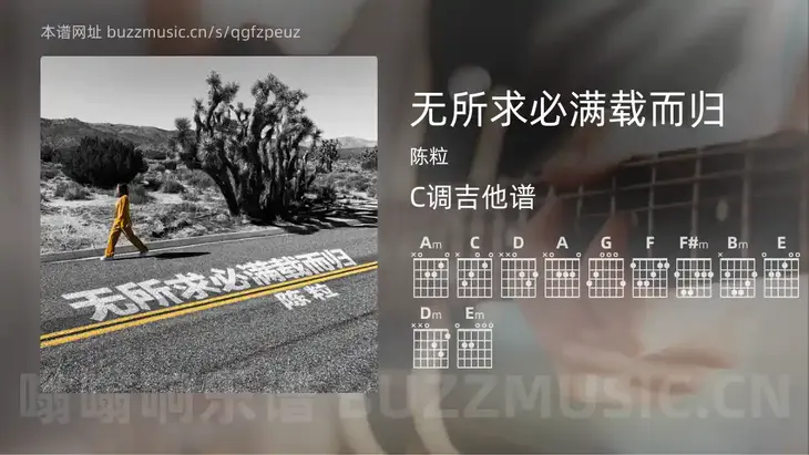 无所求必满载而归 陈粒 吉他谱C调简单版