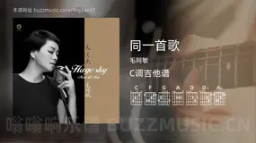 同一首歌 毛阿敏 吉他谱C调简单版